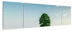 Obraz drzewa na środku łąki (170x50 cm)