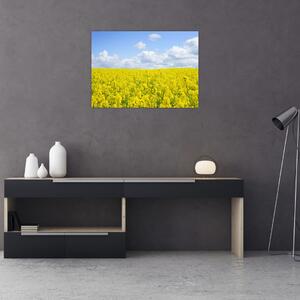Obraz żółtego pola (70x50 cm)