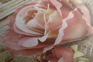 Obraz różowy vintage róża
