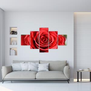 Obraz kwiatu róży (125x70 cm)