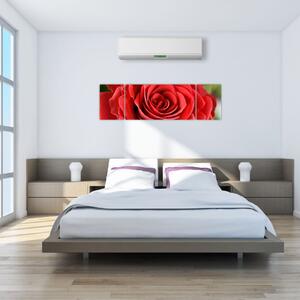 Obraz kwiatu róży (170x50 cm)