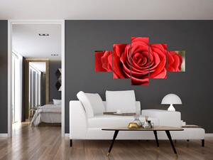 Obraz kwiatu róży (125x70 cm)
