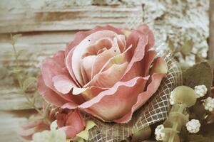 Obraz różowy vintage róża