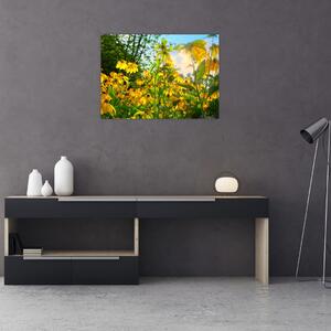 Obraz żółtych kwiatów (70x50 cm)