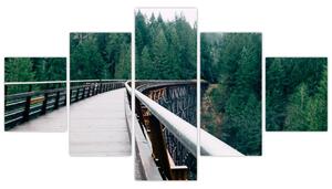 Obraz - Most do wierzchołków drzew (125x70 cm)