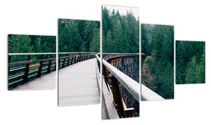 Obraz - Most do wierzchołków drzew (125x70 cm)