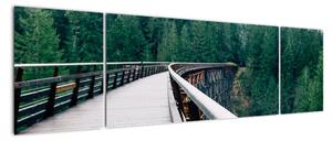 Obraz - Most do wierzchołków drzew (170x50 cm)