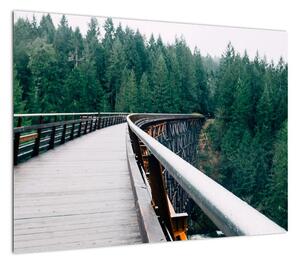 Obraz - Most do wierzchołków drzew (70x50 cm)