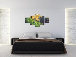 Obraz mchu z grzybem (125x70 cm)