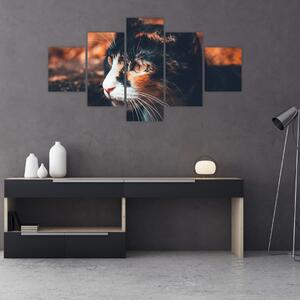 Obraz - Spojrzenie kota (125x70 cm)