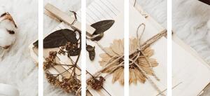 5-częściowy obraz zbiór starych liści