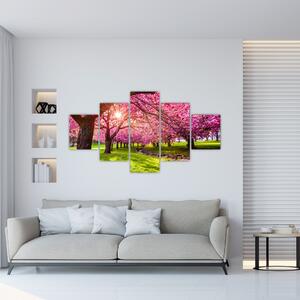 Obraz kwitnących czereśni, Hurd Park, Dover, New Jersey (125x70 cm)