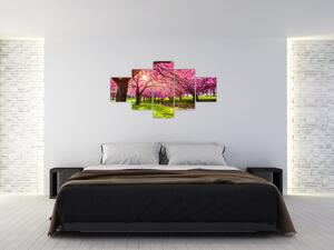 Obraz kwitnących czereśni, Hurd Park, Dover, New Jersey (125x70 cm)