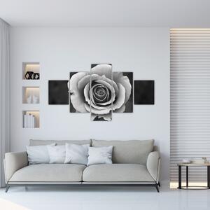 Obraz róży (125x70 cm)