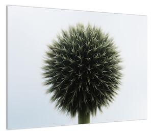Obraz kuli kwiatowej (70x50 cm)