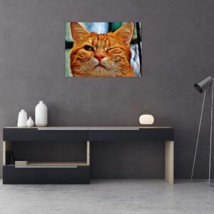 Obraz mrugającego kota (70x50 cm)