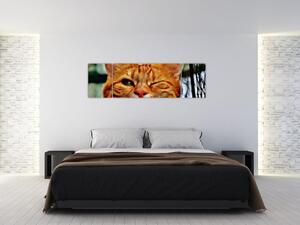 Obraz mrugającego kota (170x50 cm)