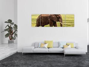 Obraz słonia (170x50 cm)