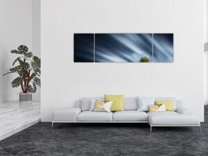 Obraz zorzy polarnej nad wrzosowiskami (170x50 cm)