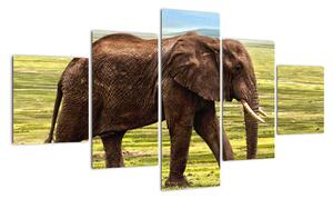 Obraz słonia (125x70 cm)