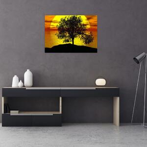 Obraz sylwetki drzewa (70x50 cm)