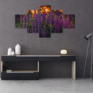 Obraz kwiatów łubinu (125x70 cm)