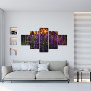 Obraz kwiatów łubinu (125x70 cm)