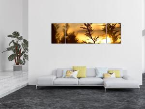 Obraz - słońce zachodzące za drzewami (170x50 cm)