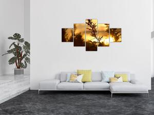 Obraz - słońce zachodzące za drzewami (125x70 cm)