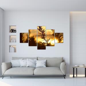 Obraz - słońce zachodzące za drzewami (125x70 cm)