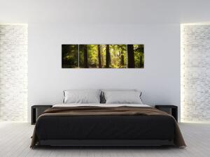 Obraz sennego lasu (170x50 cm)
