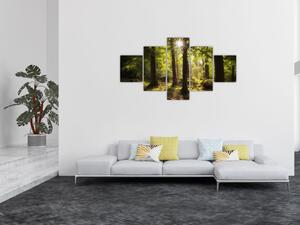 Obraz sennego lasu (125x70 cm)