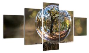 Obraz - Odbicie w szklanej kuli (125x70 cm)