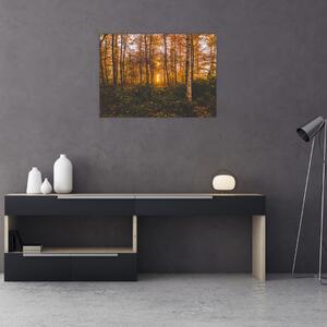Obraz jesiennego lasu (70x50 cm)