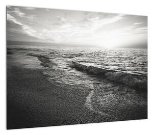 Obraz - Na brzegu morza (70x50 cm)