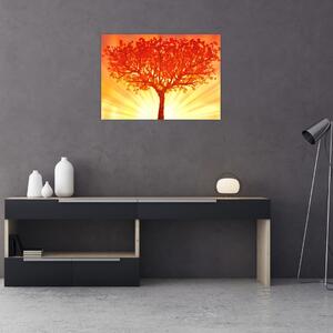 Obraz - Drzewo w słońcu (70x50 cm)