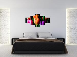 Obraz tulipanów na czarnym tle (125x70 cm)