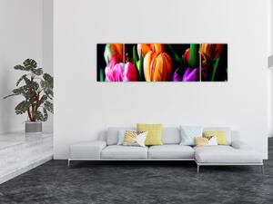 Obraz tulipanów na czarnym tle (170x50 cm)