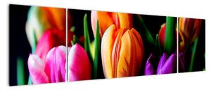 Obraz tulipanów na czarnym tle (170x50 cm)