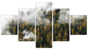 Obraz lasu w chmurach (125x70 cm)