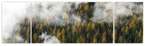Obraz lasu w chmurach (170x50 cm)