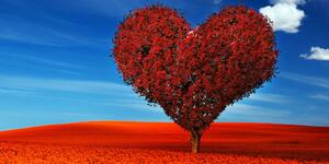 Obraz piękne drzewo w kształcie serca