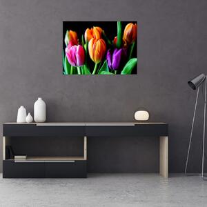 Obraz tulipanów na czarnym tle (70x50 cm)