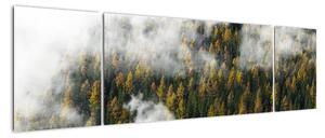 Obraz lasu w chmurach (170x50 cm)
