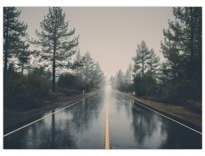 Obraz drogi w deszczu (70x50 cm)