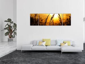 Obraz zachodzącego słońca (170x50 cm)