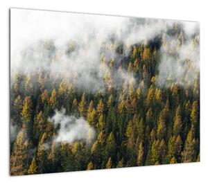 Obraz lasu w chmurach (70x50 cm)