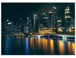 Obraz Singapuru nocą (70x50 cm)