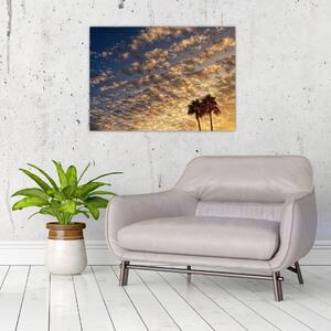 Obraz - palmy pośród chmur (70x50 cm)
