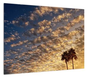 Obraz - palmy pośród chmur (70x50 cm)
